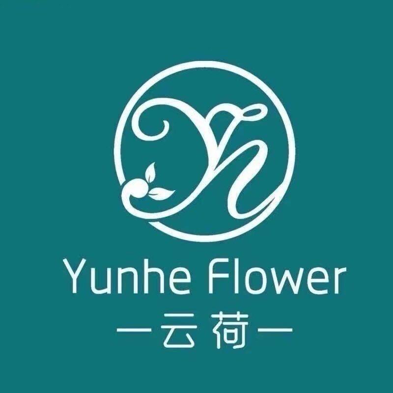 云荷进口花供应链