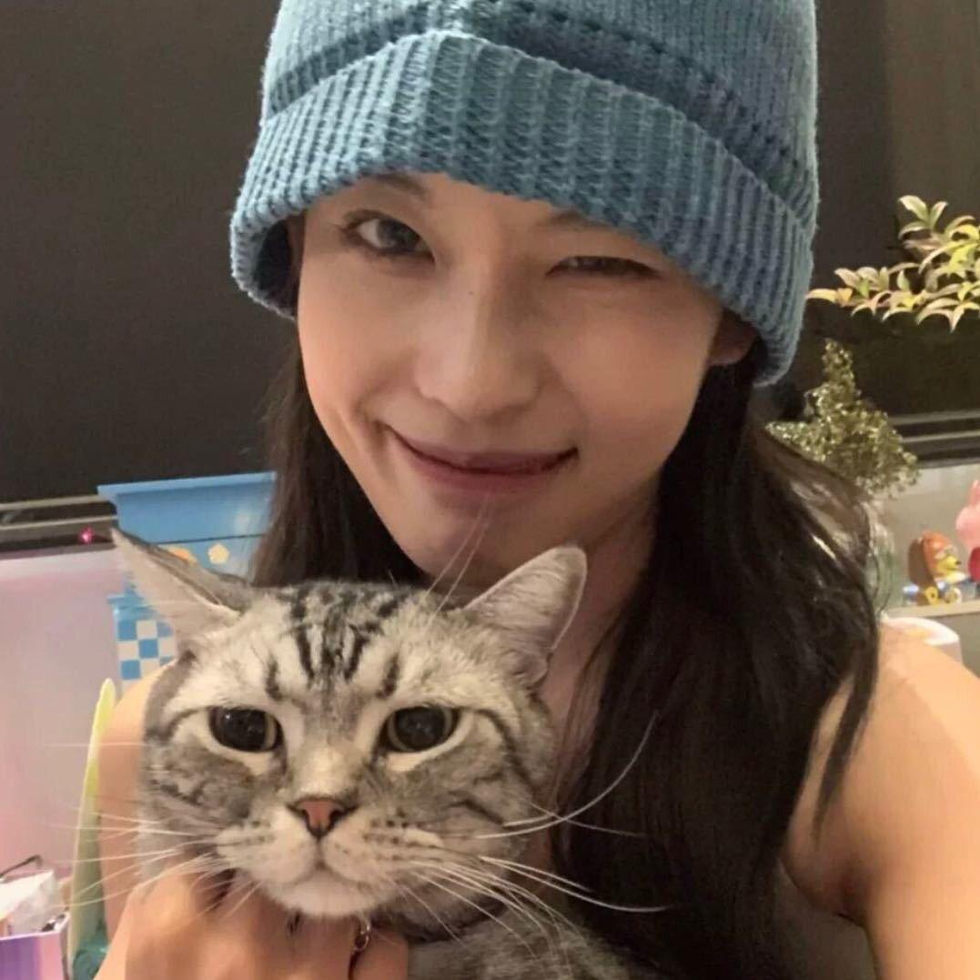 菠萝不吹雪