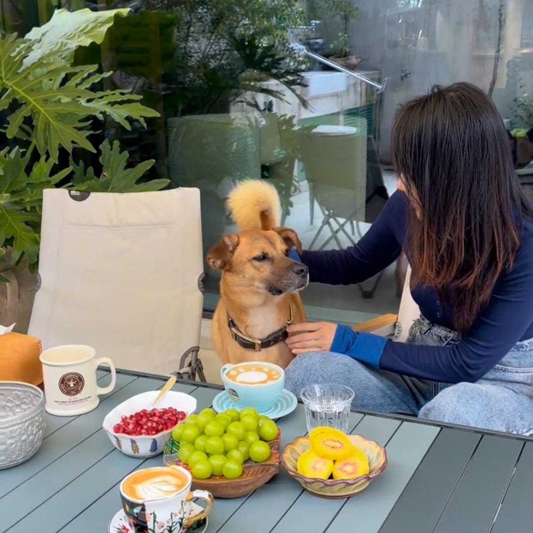 美洋洋的每一天