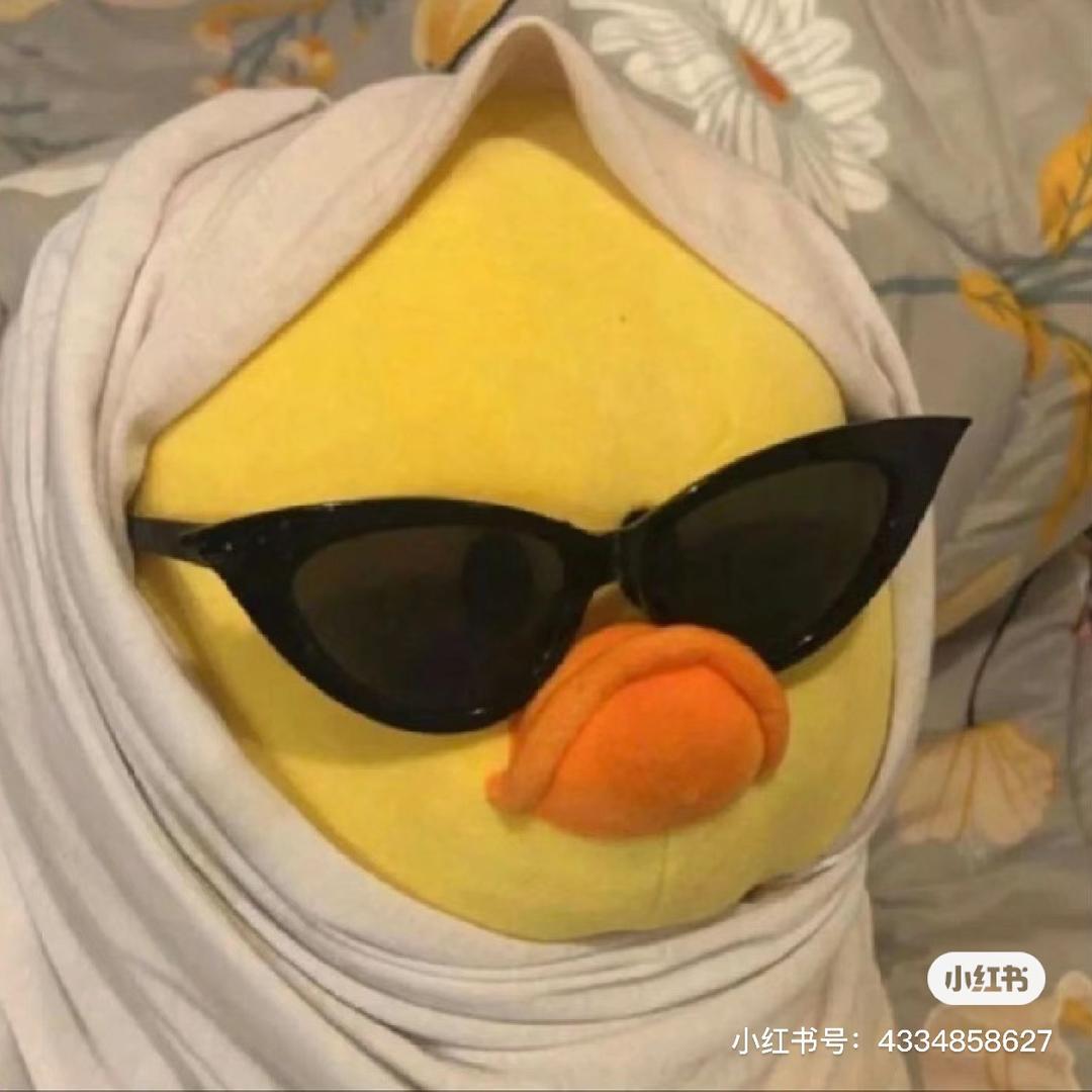 张老壳