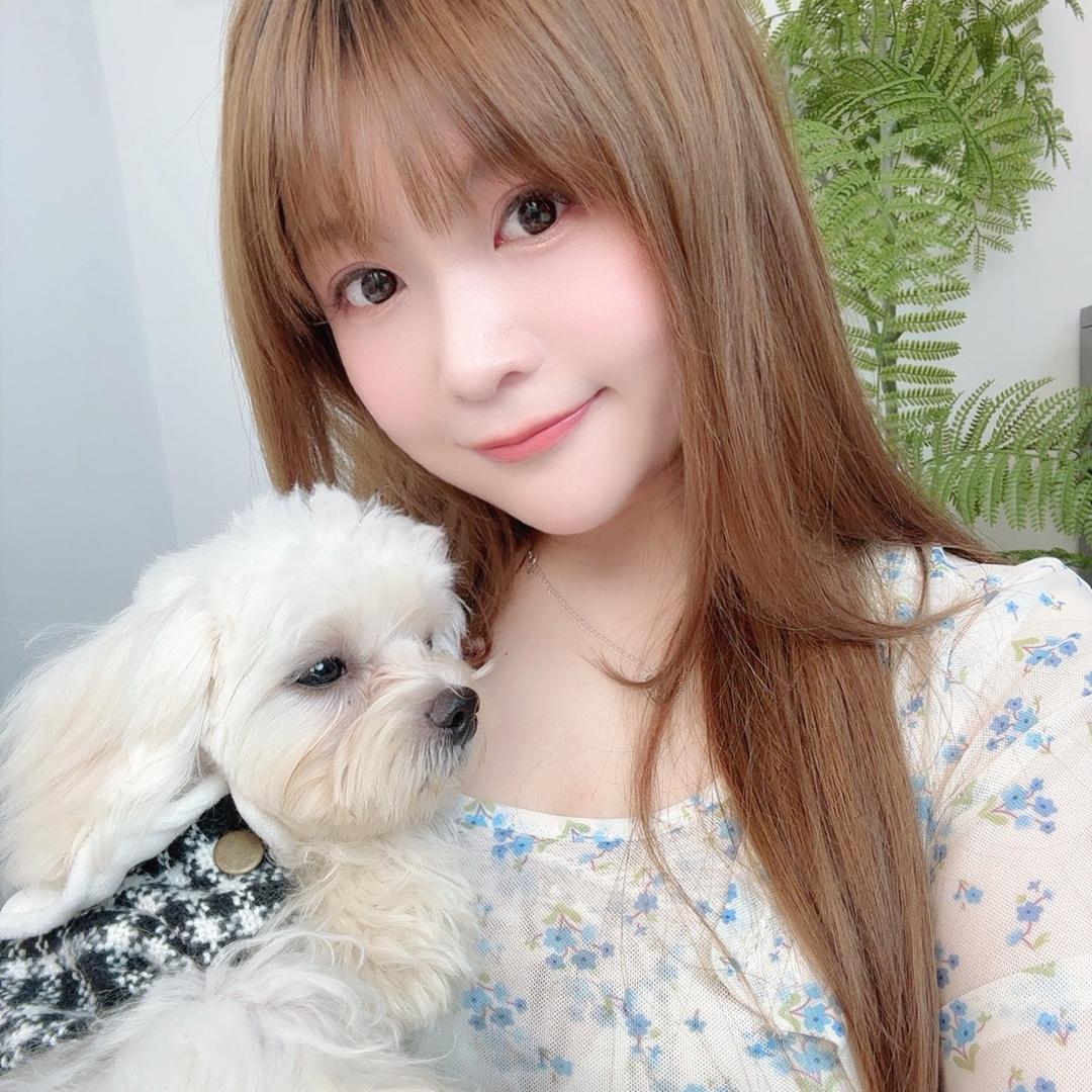 毛绒日记📔🐶