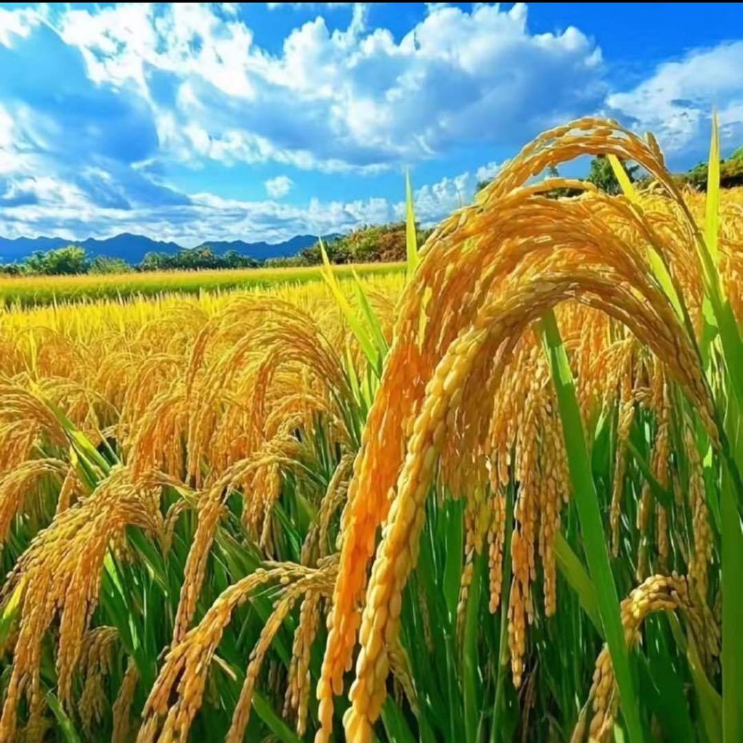静