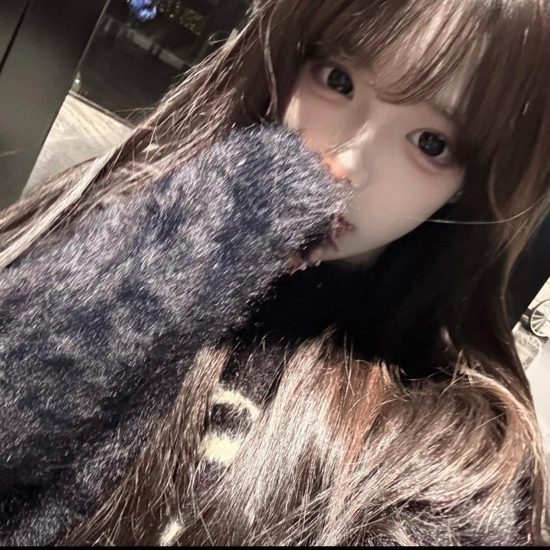呆呆小涵