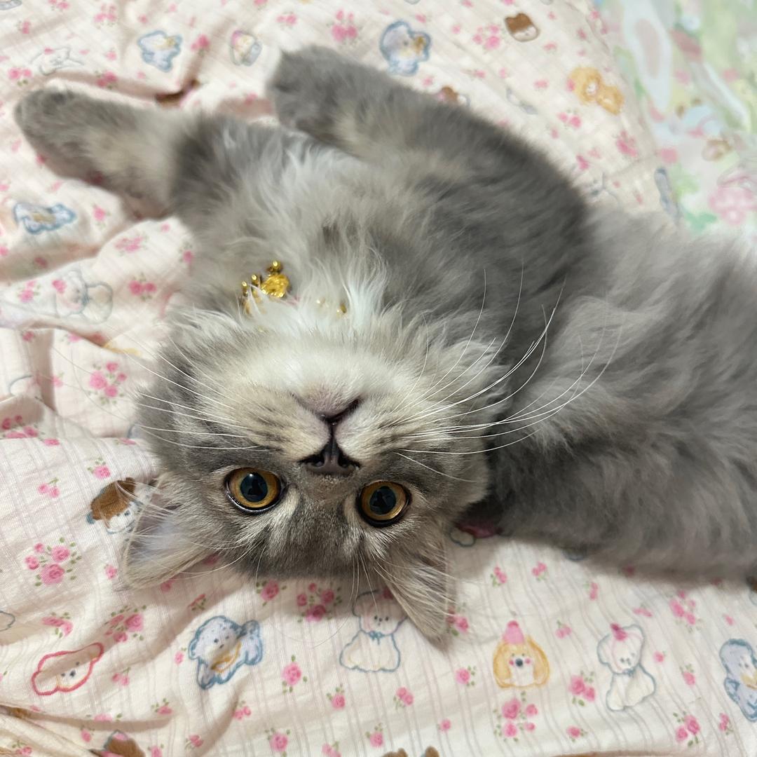 秘