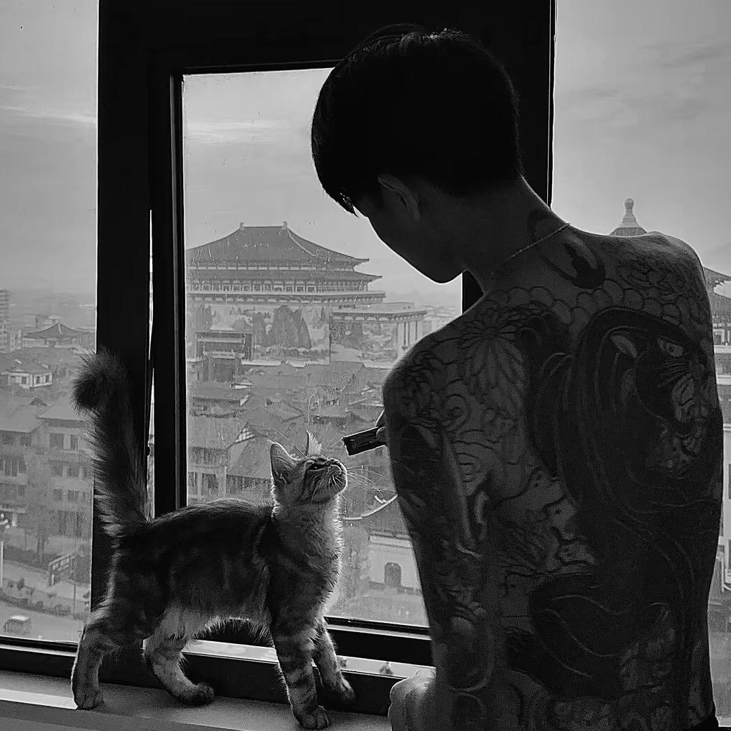 @风好冷.