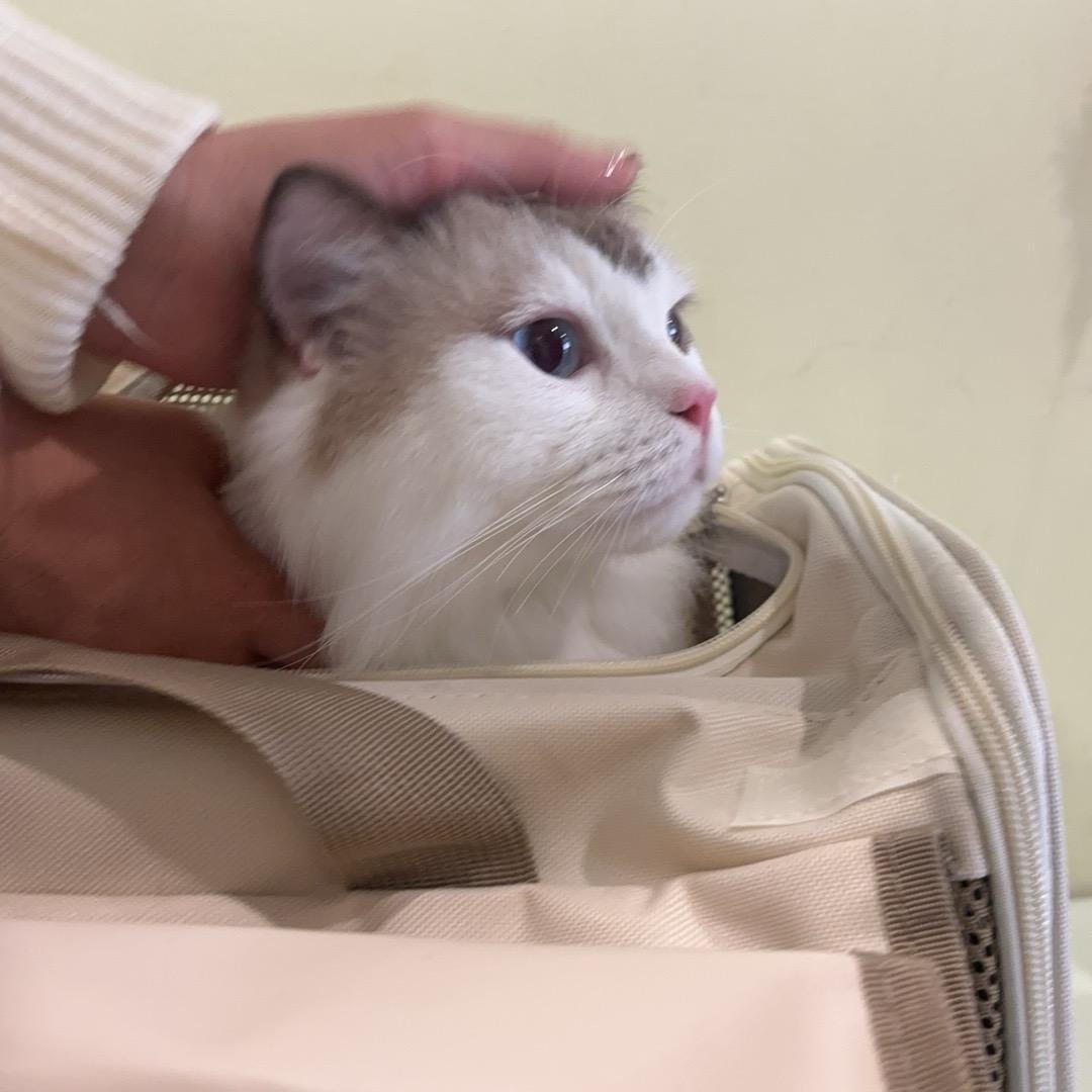 醉里几度眠