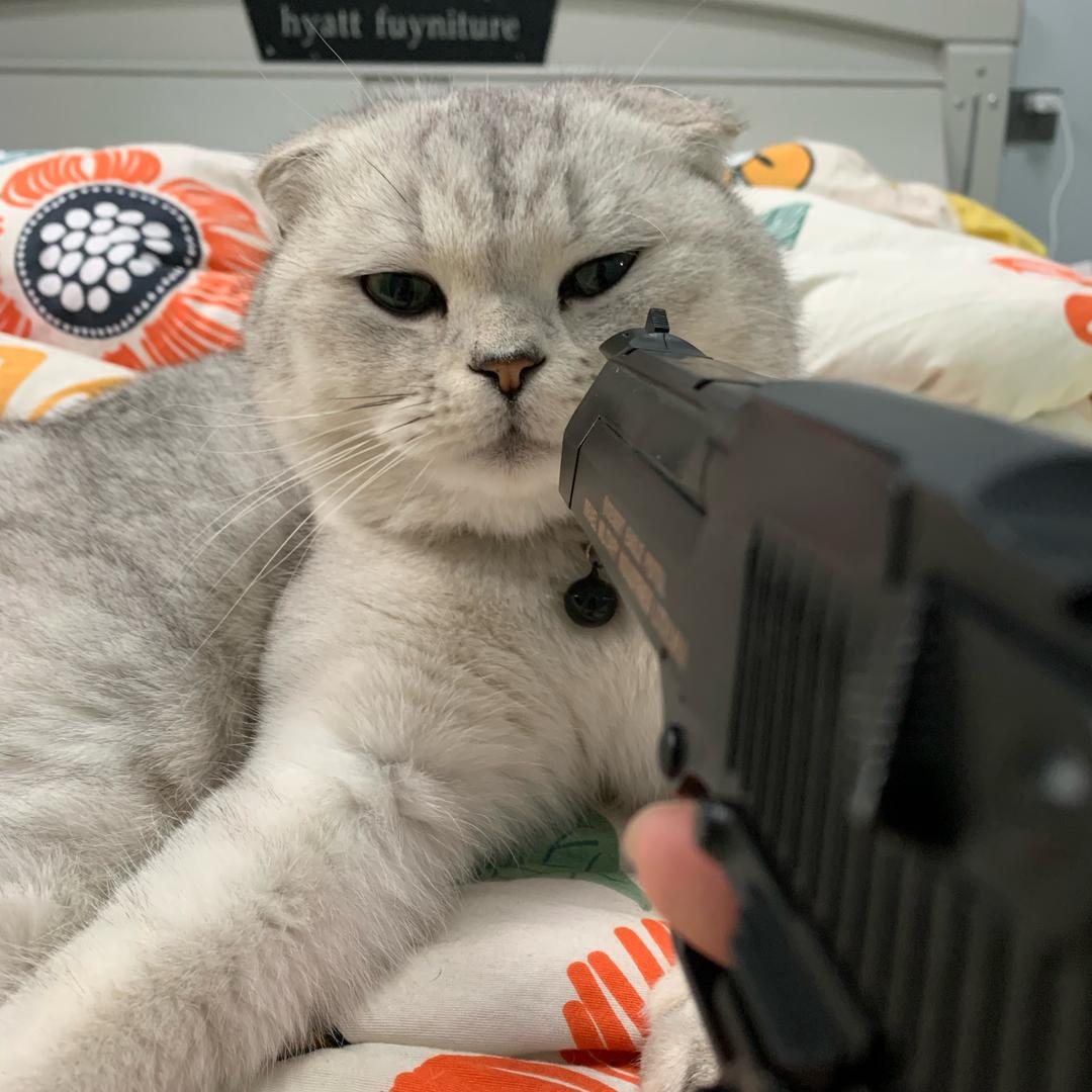 我要睡觉了