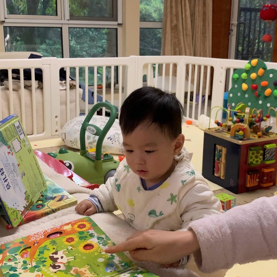 朱小弟的树屋日记