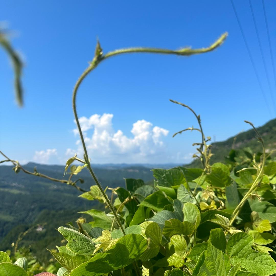 金米瑜伽户外爬山徒步骑行