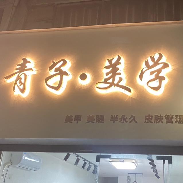 利辛青子•美学
