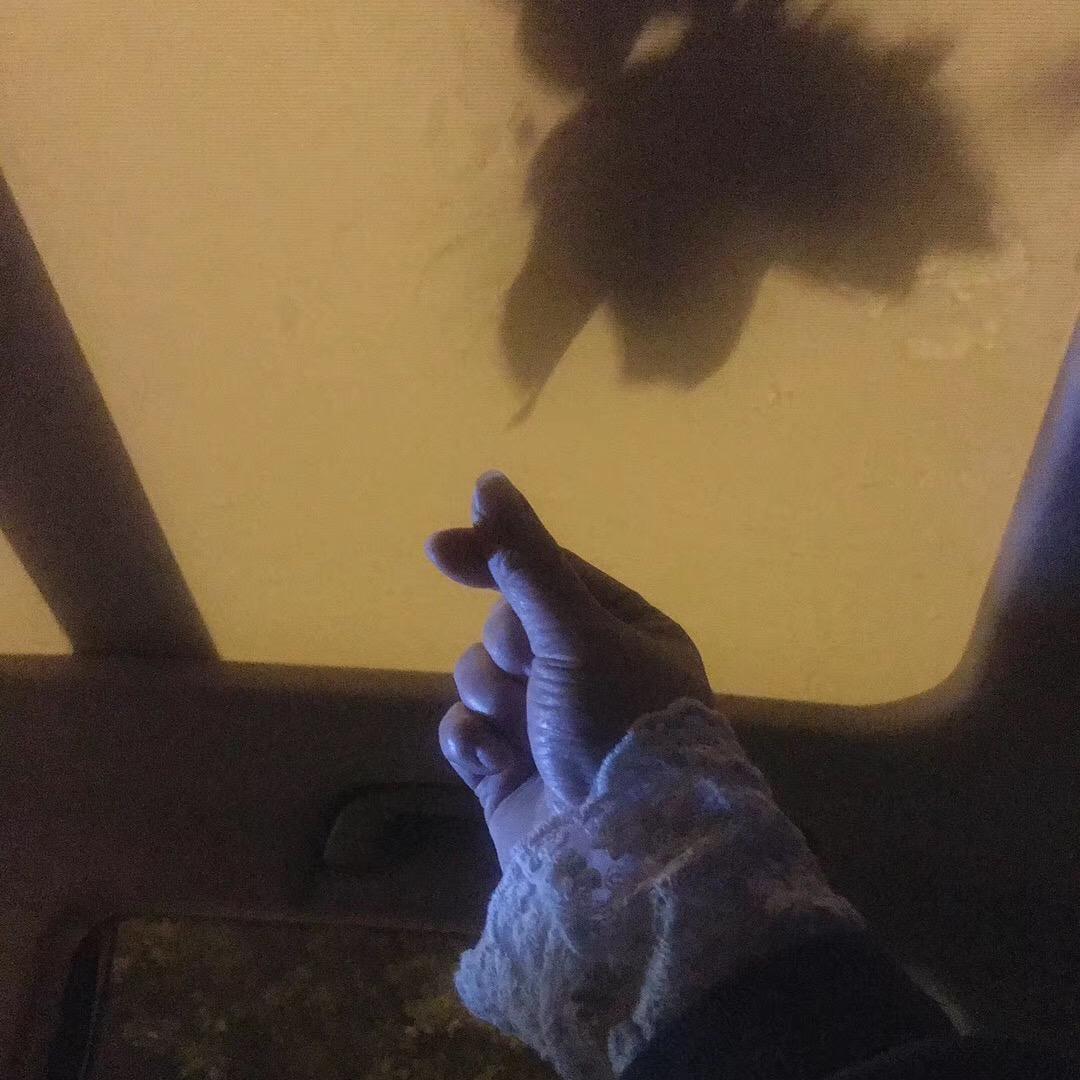 芳粒粒