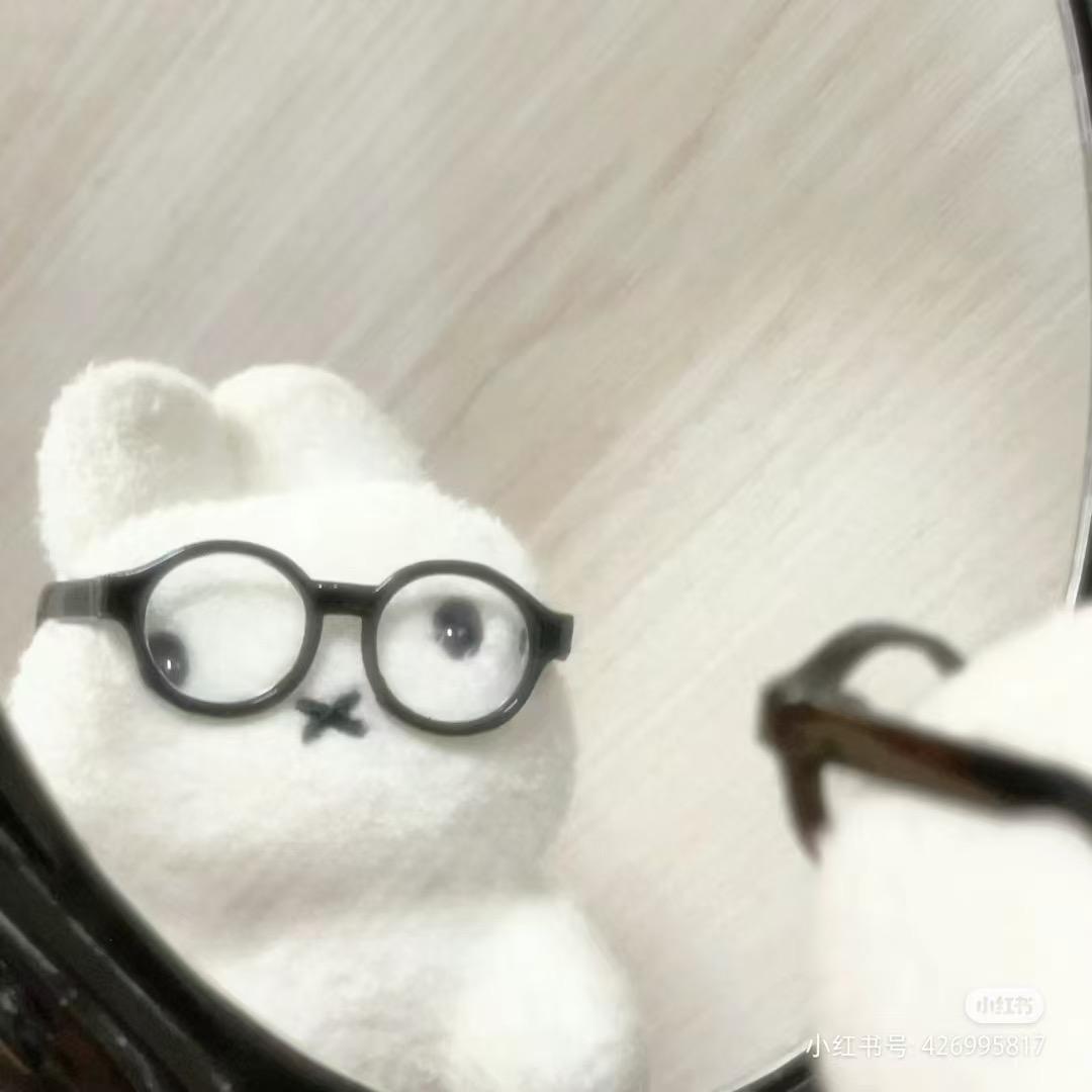 圆脸小眼镜