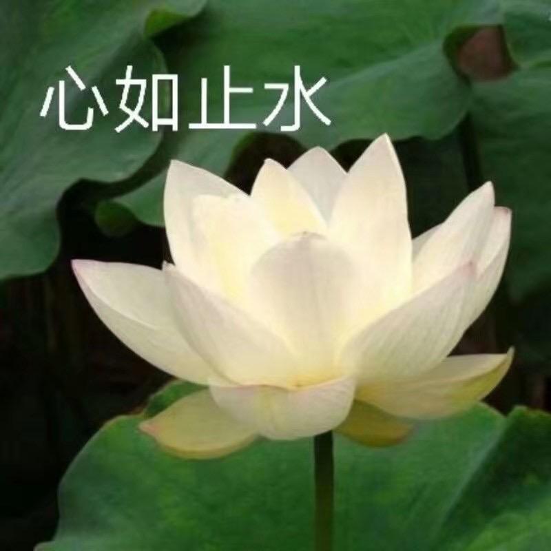 张梓皓奶奶【拒私聊】