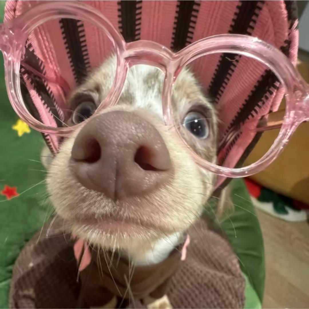 🌈 31岁美艳继母🌈🌈🌈