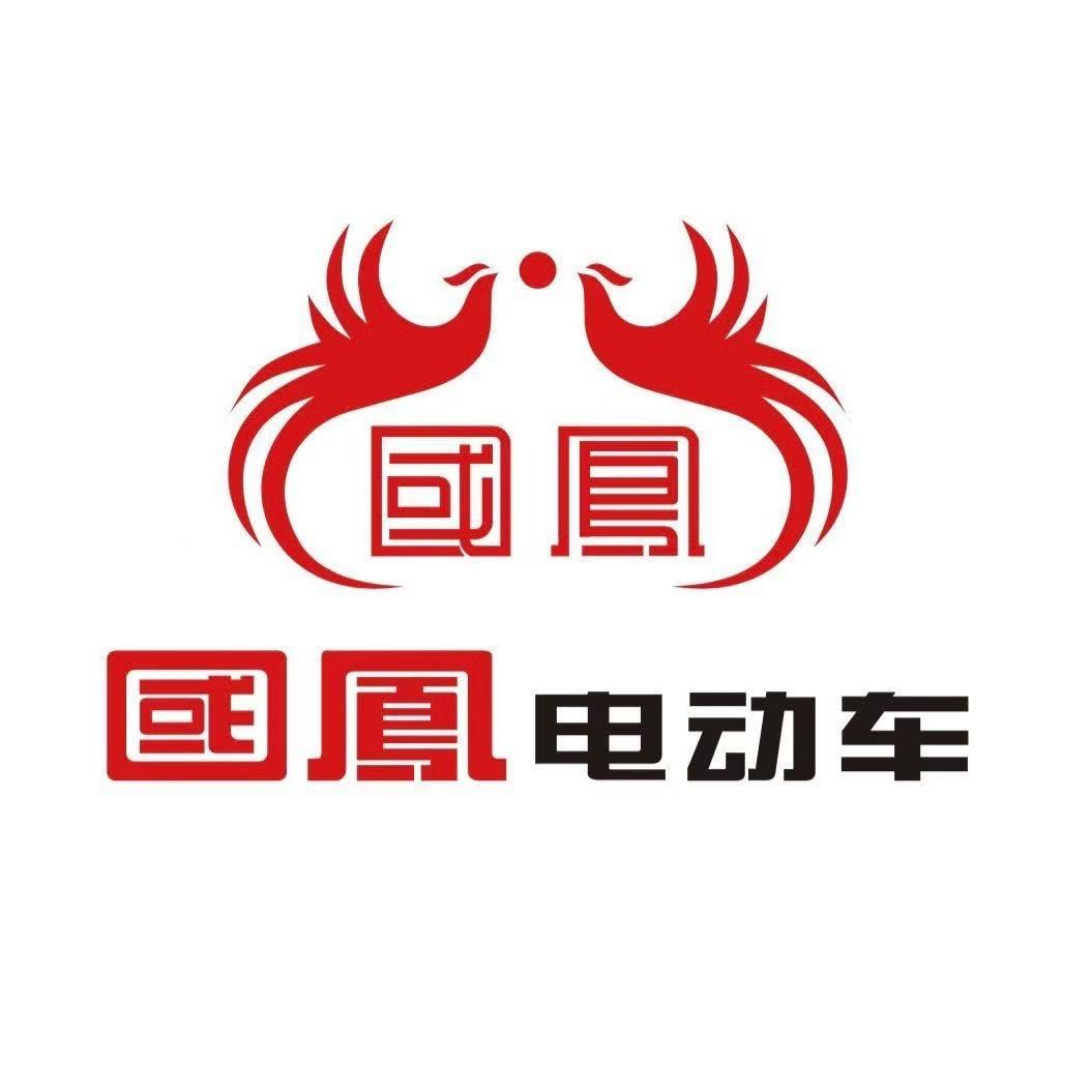 电动车工厂直发