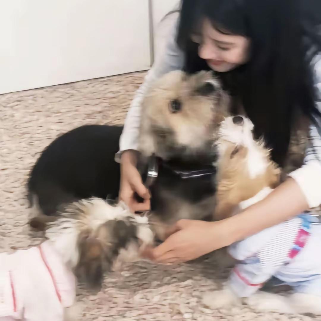 番个大薯
