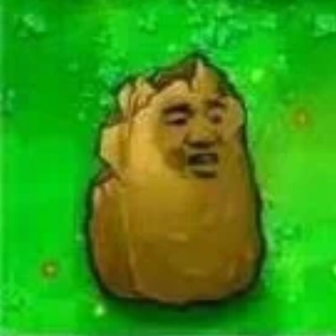 头头的头发