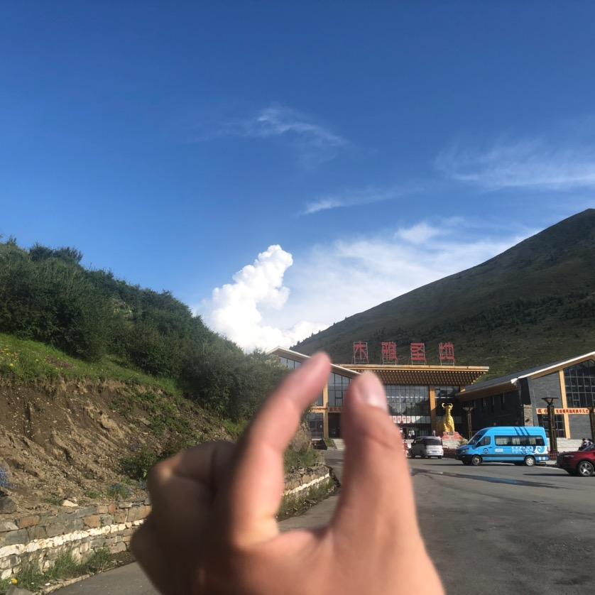 🎷不谈情