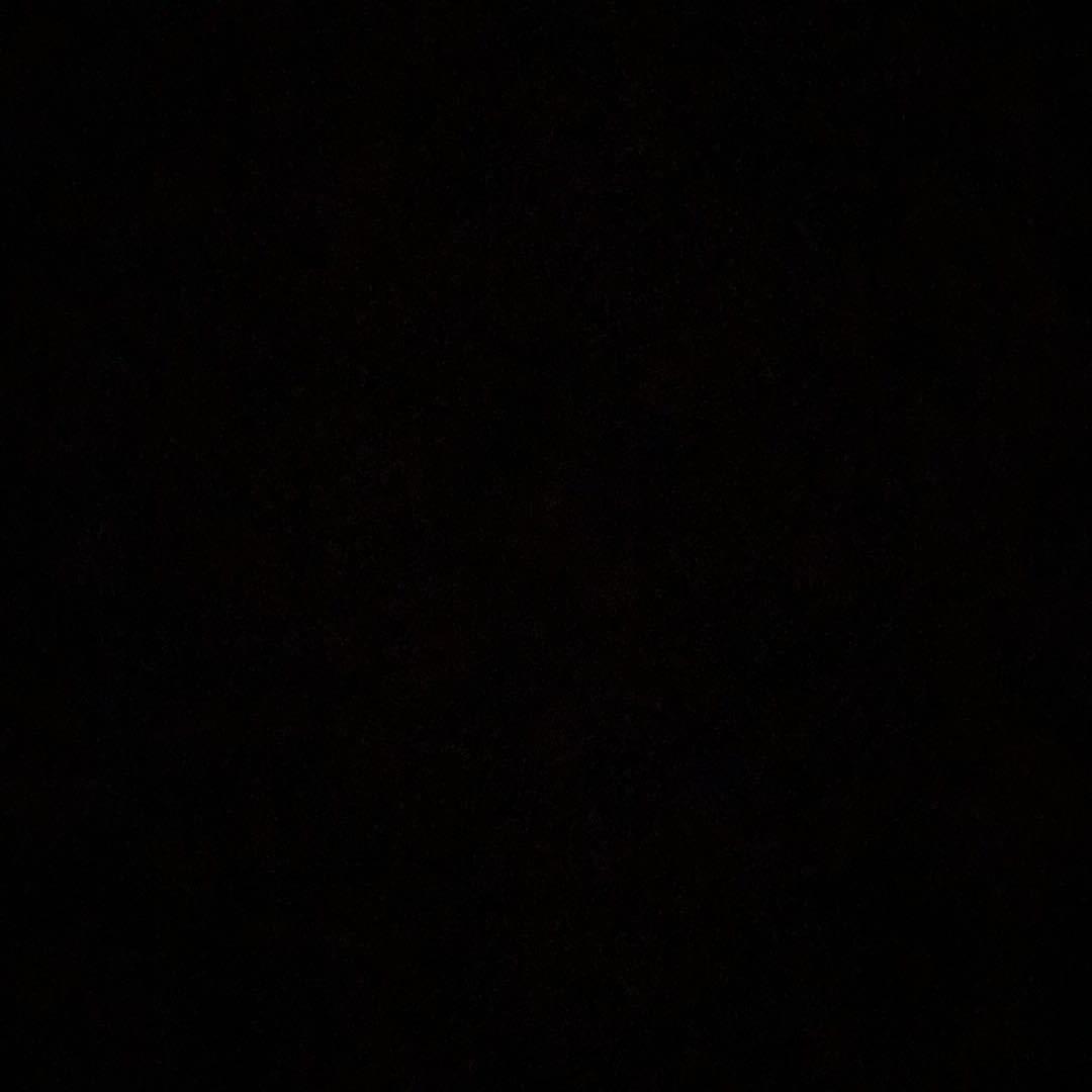 舟舟