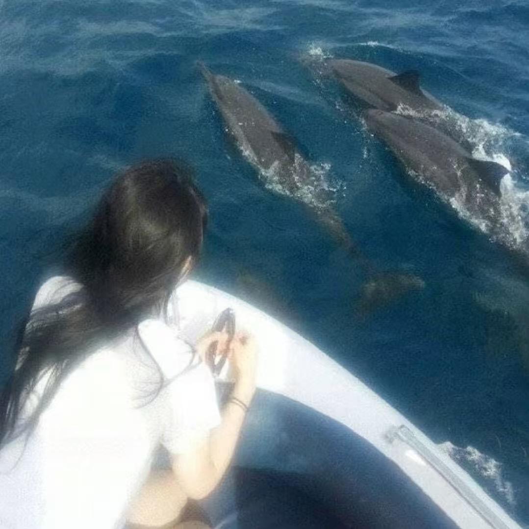 重生之我在民大上学