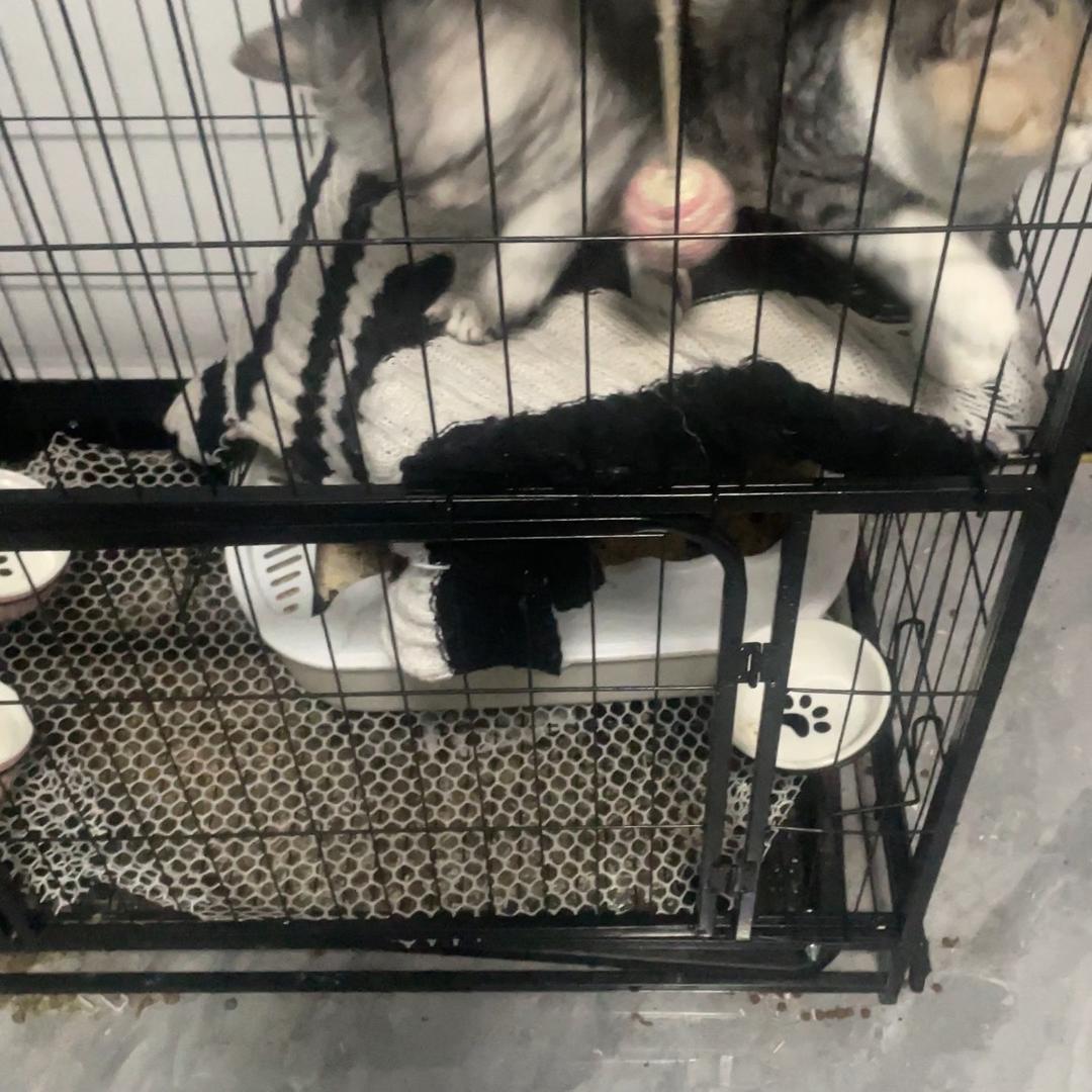 不要招惹我