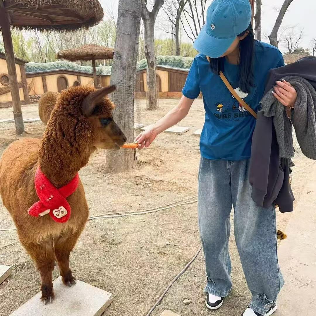 W一然