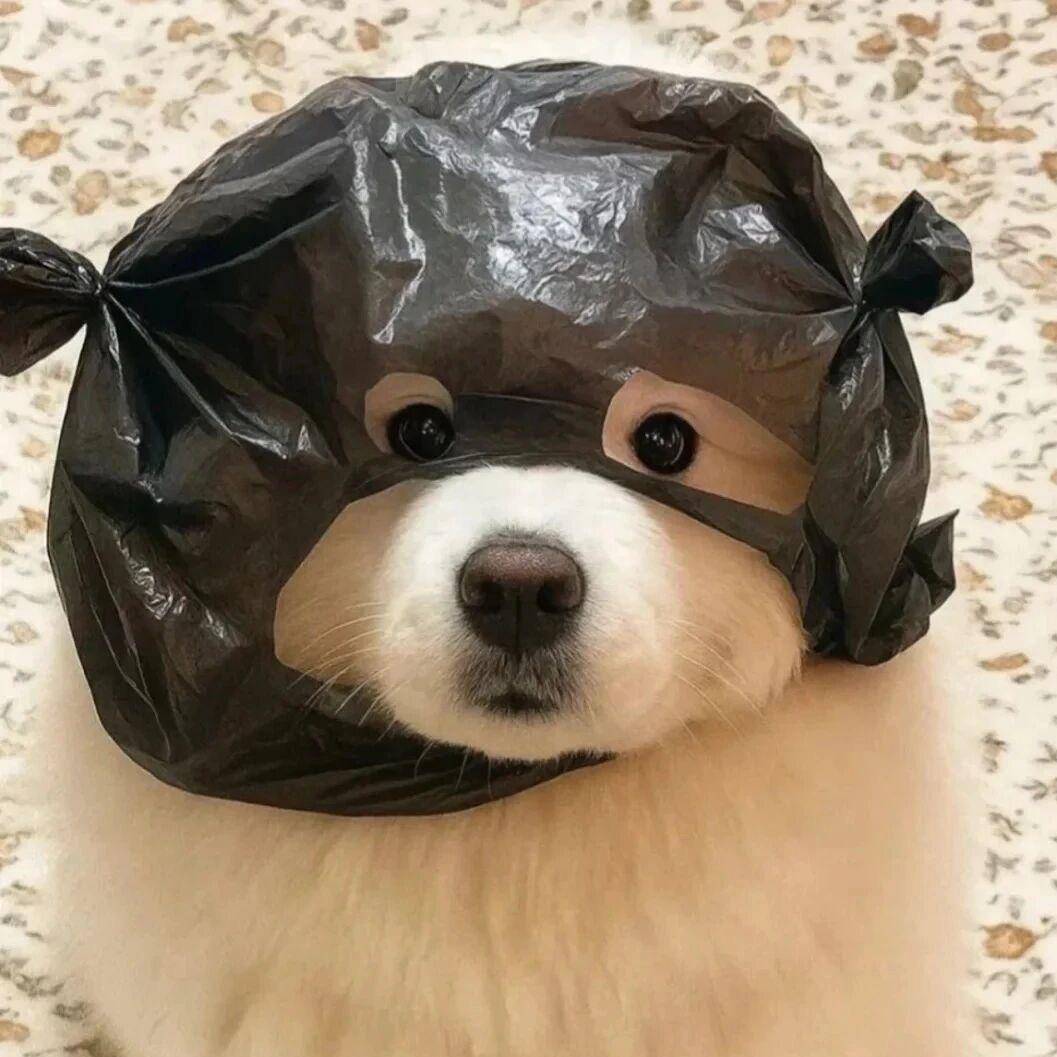 不会打球的杜兰特