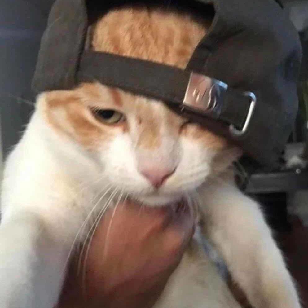 YT