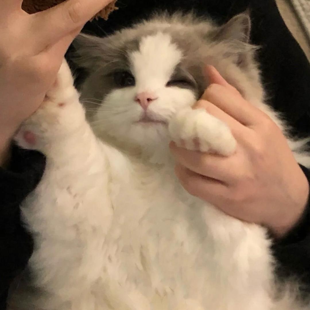今天一定早睡💤