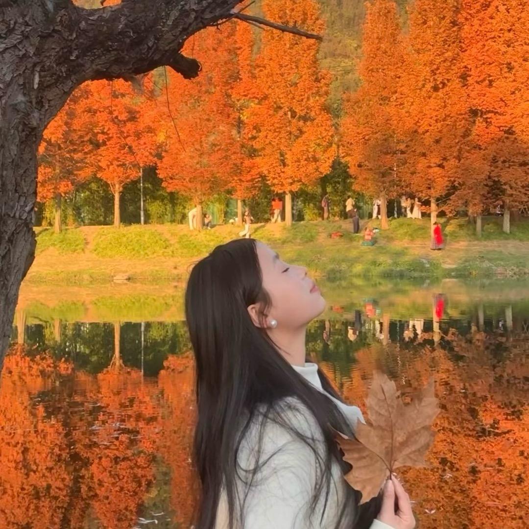 洋芋国公主👸