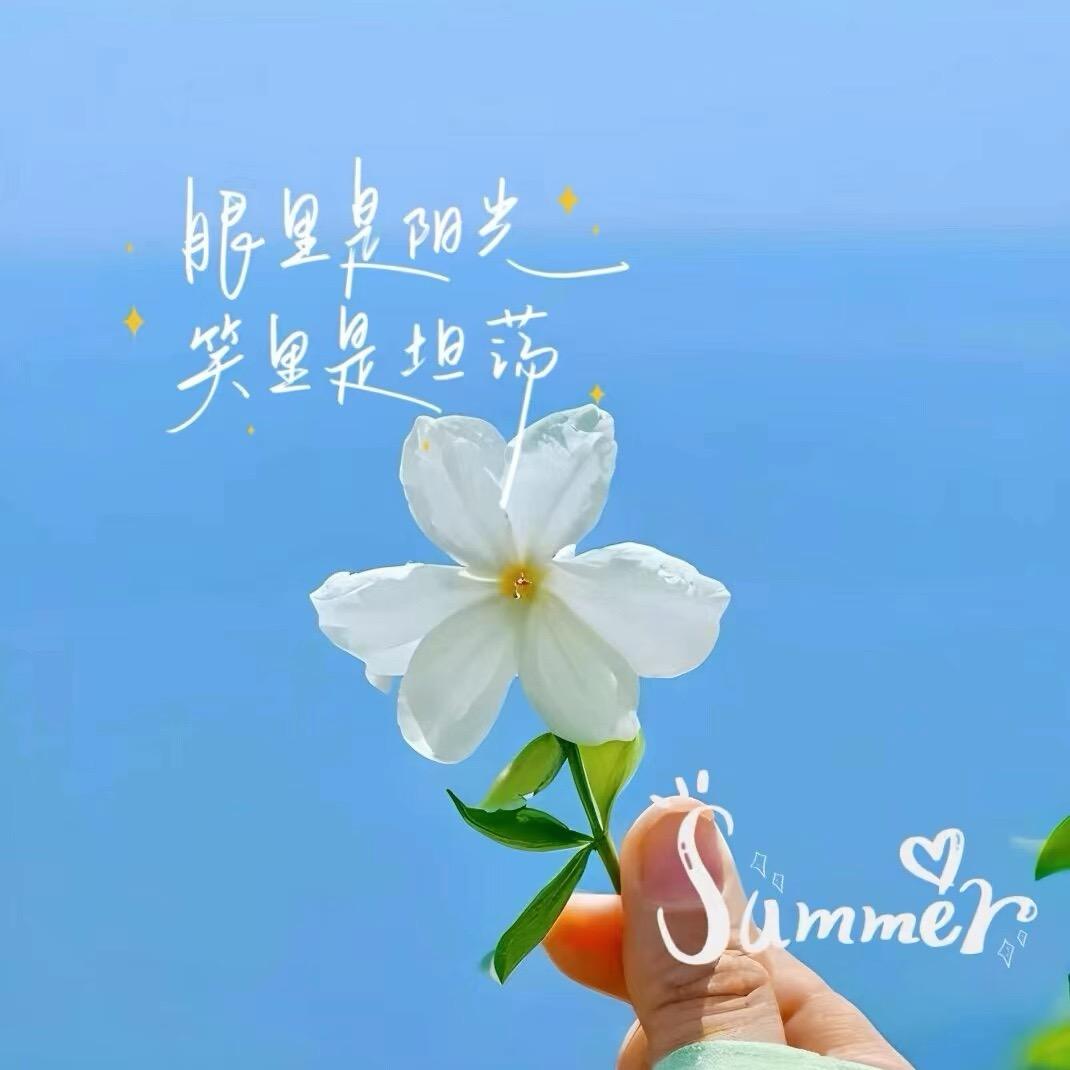 淡雅如兰