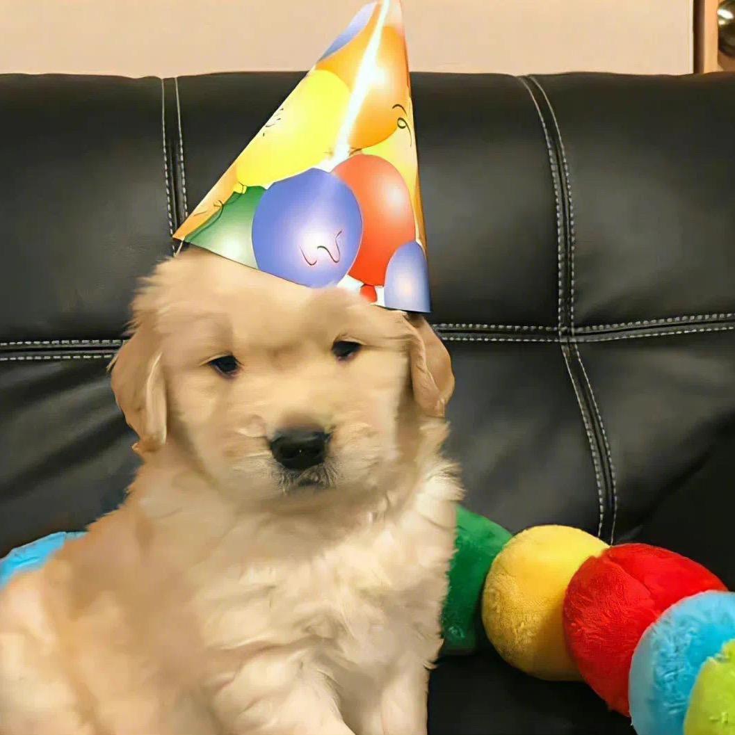 一号线歌手（休假版）