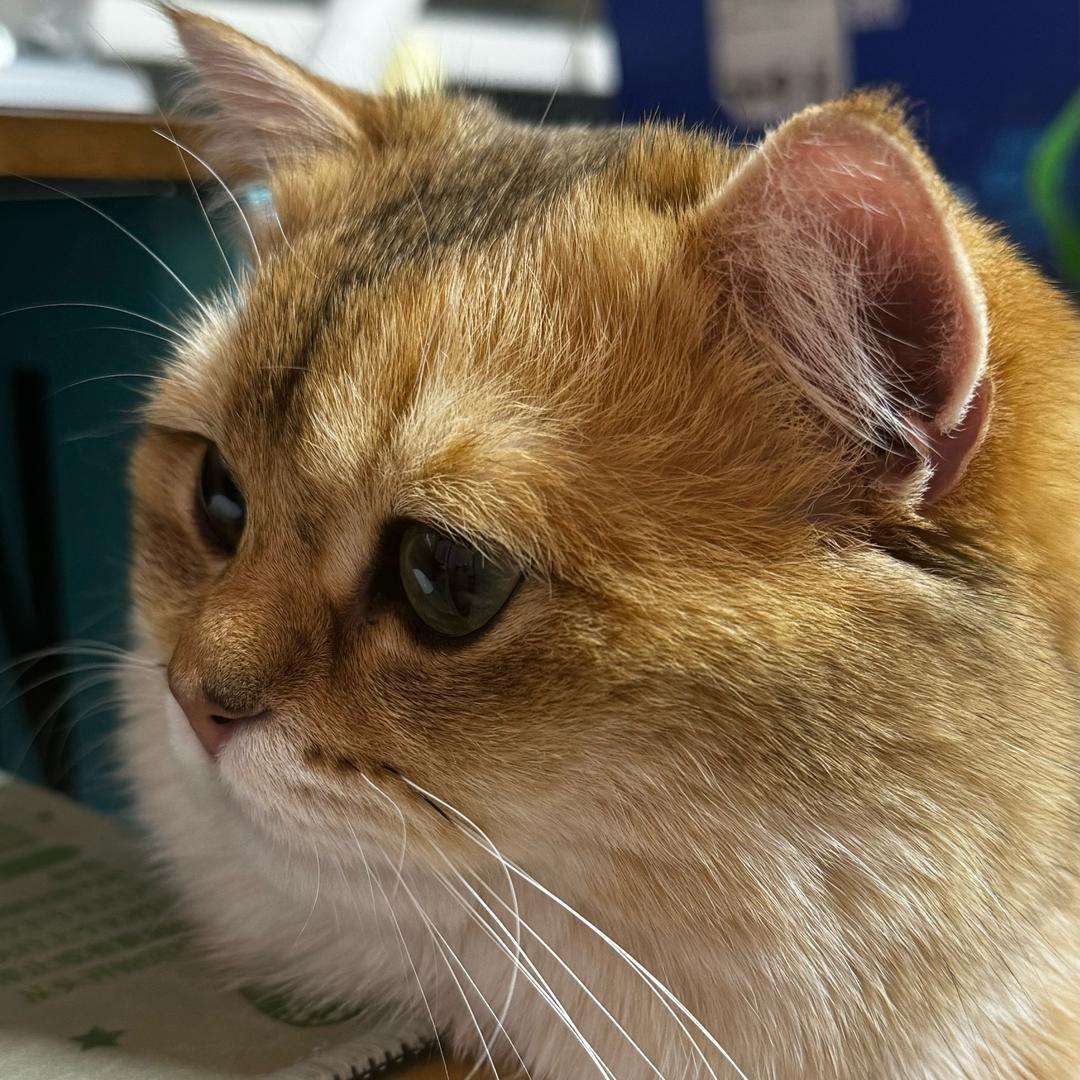 邓同学仍需努力