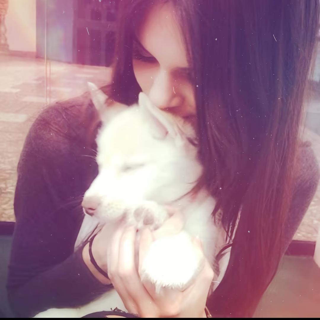 Vivi