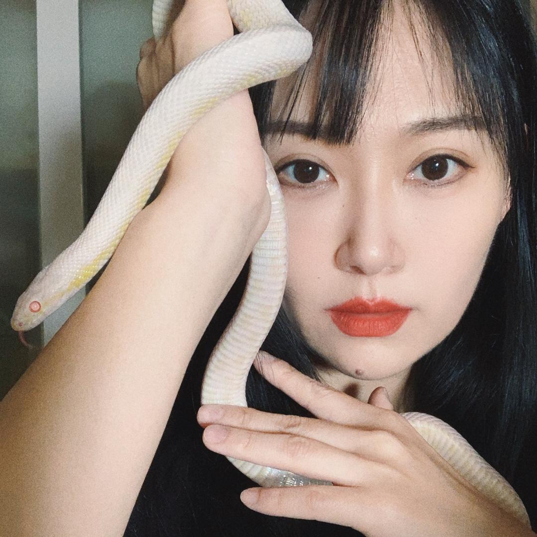 松子的百万爬虫