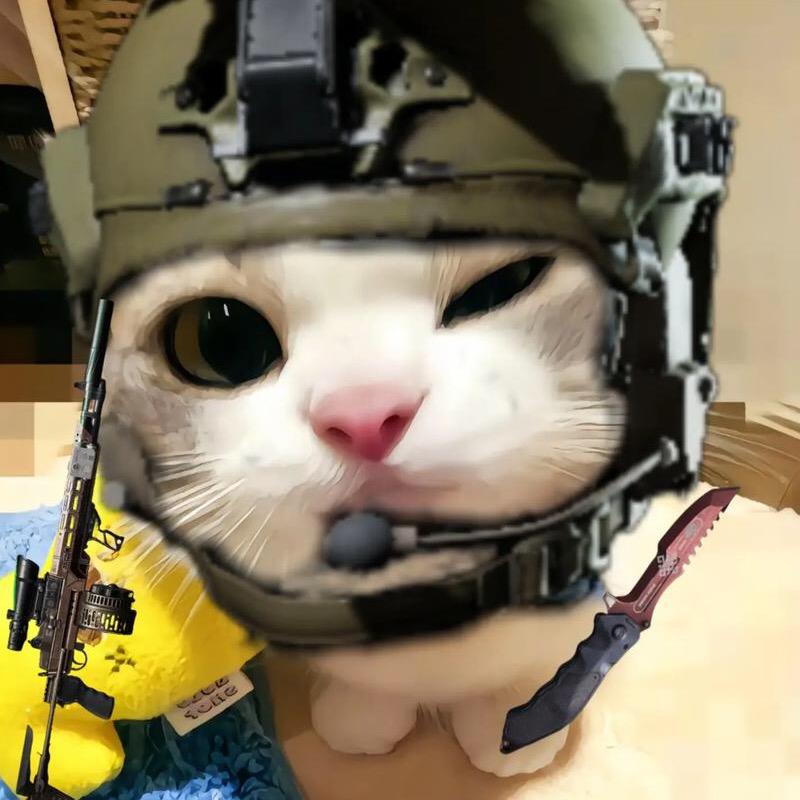 薛朝(暗区突围)