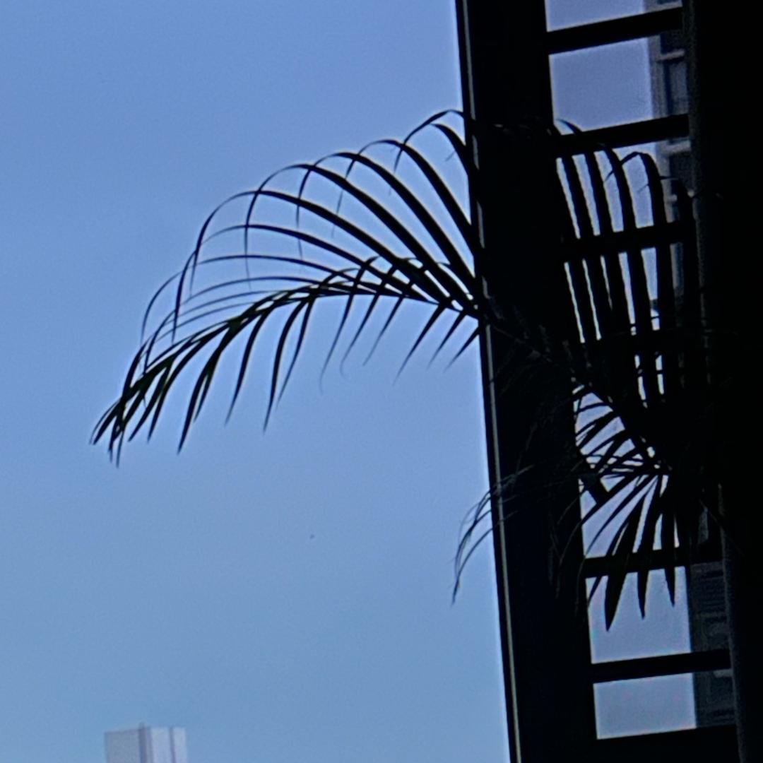 l j l