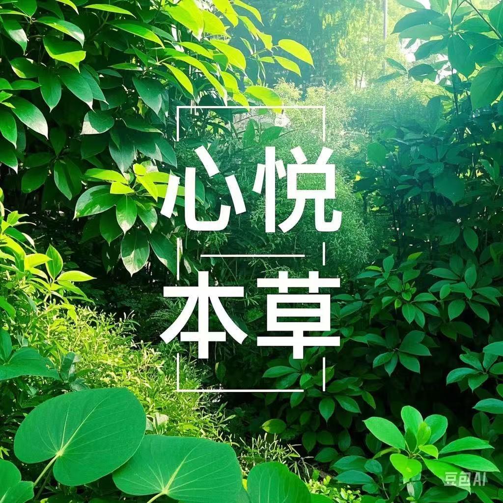 心悦本草水果雾化（天津总代）