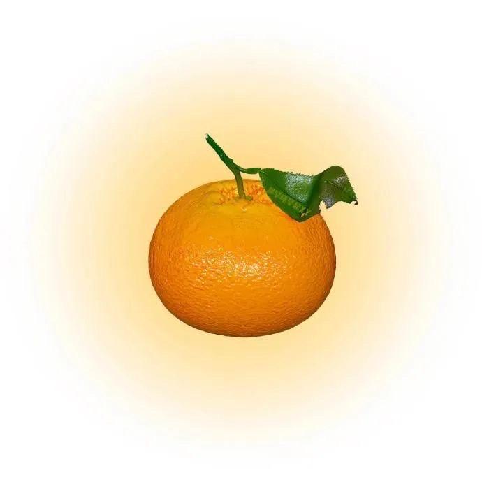 🍊桔子屋美术绘馆