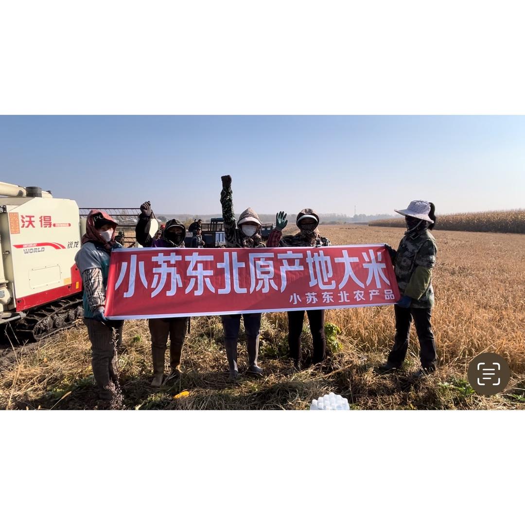 小苏东北原产地大米