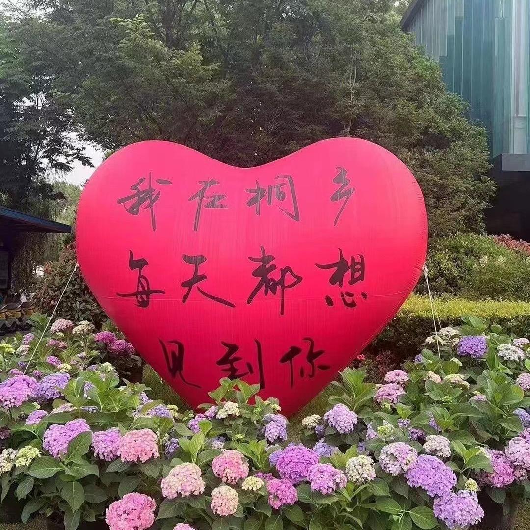 小戴的美好生活