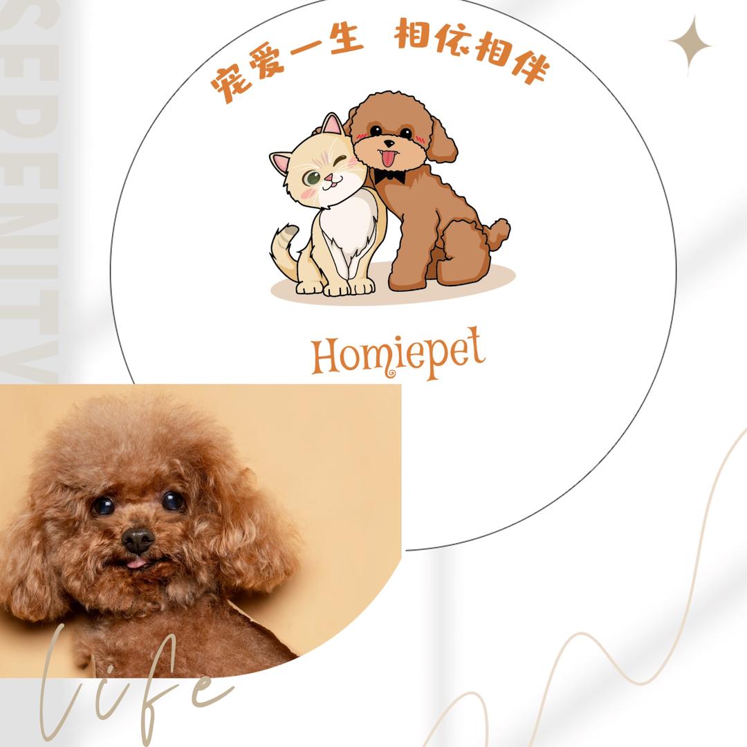 鼓楼区厚米宠物服务中心（个体工商户）