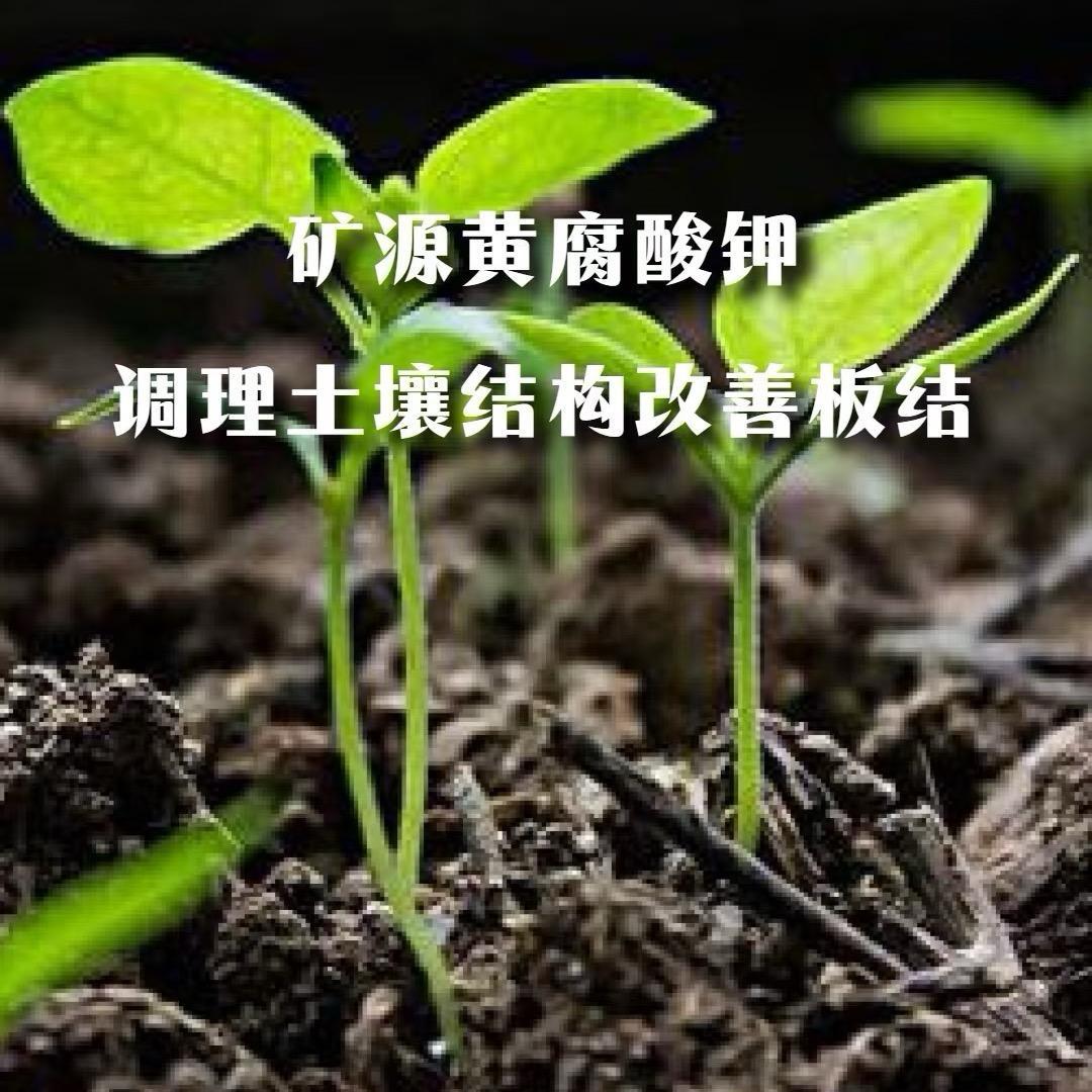 矿源黄腐酸钾厂家店直销