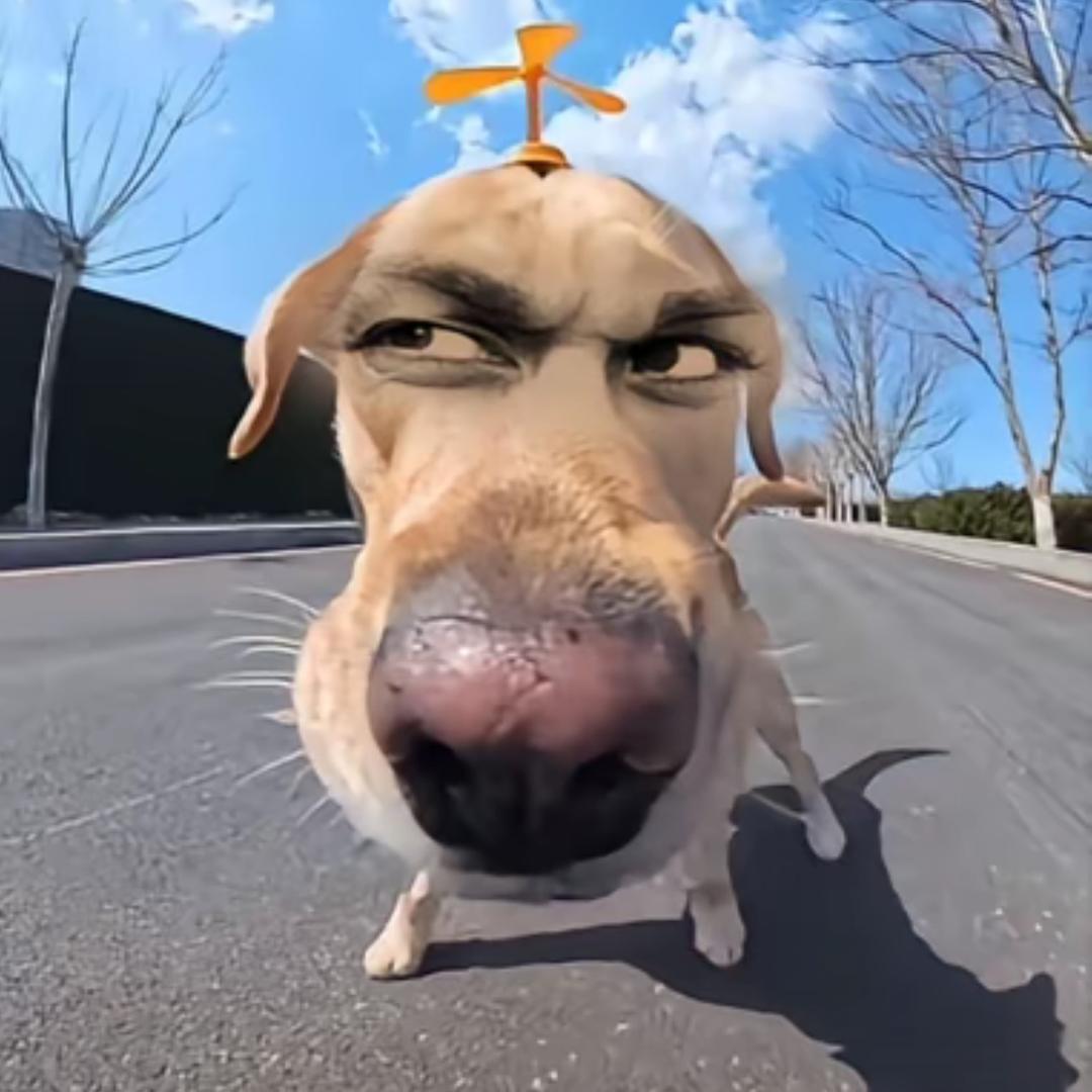 逍遥·缪浪（Erison Miao）