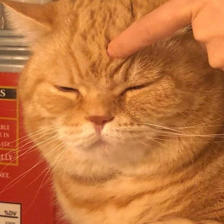 你看起来很好吃