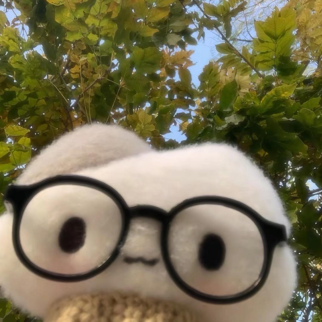 俪