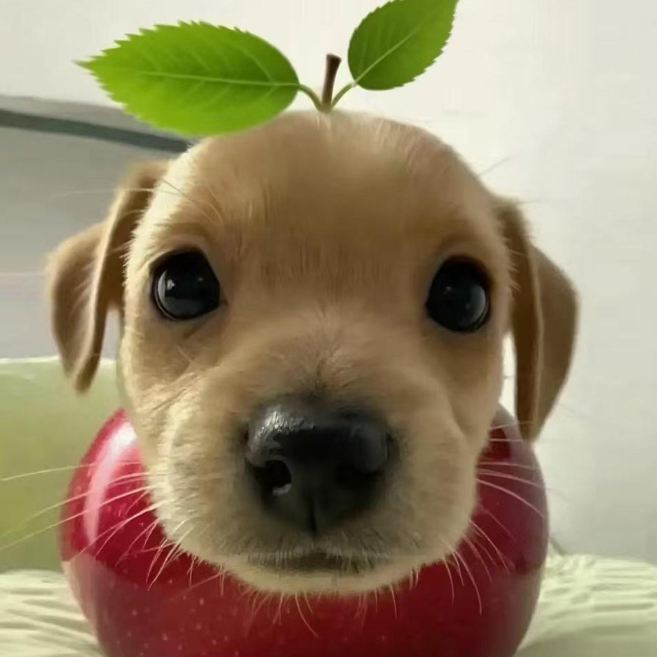 China 绘梨衣