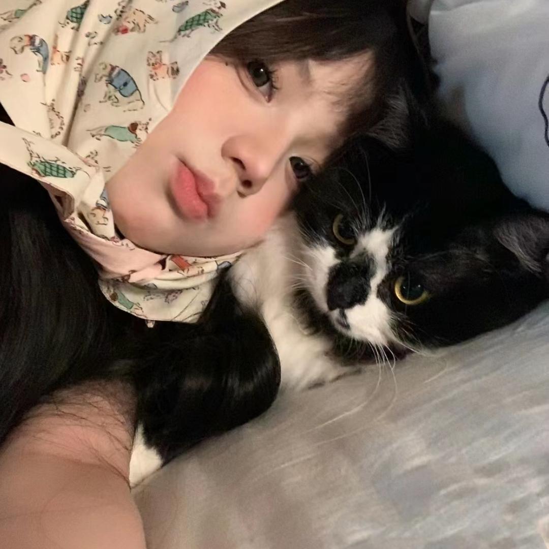 好喵