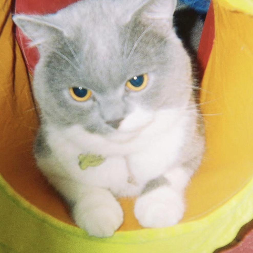 甲面装修牙师傅