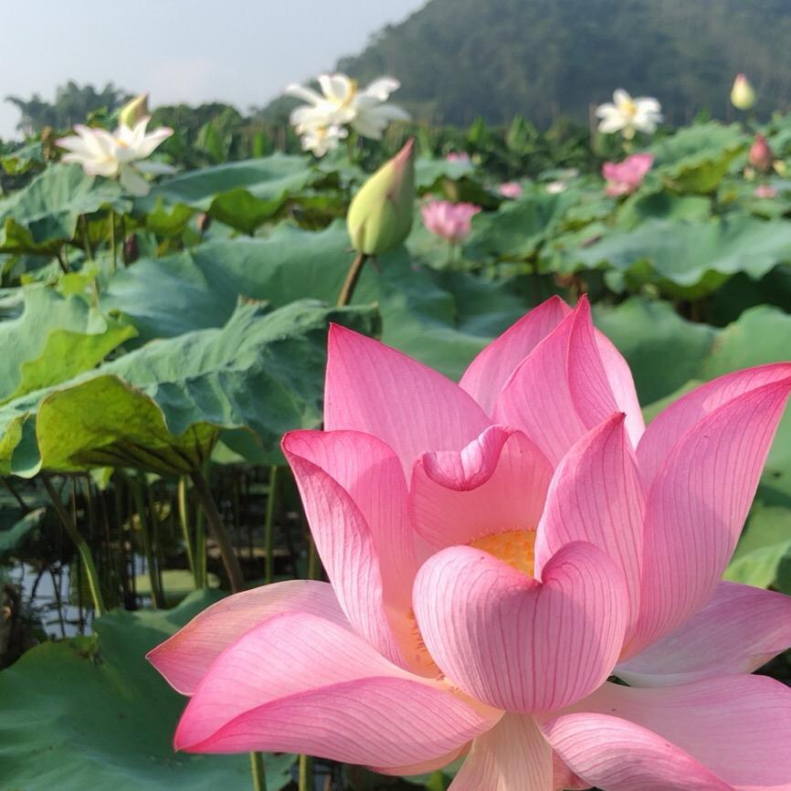 启宏家居百货